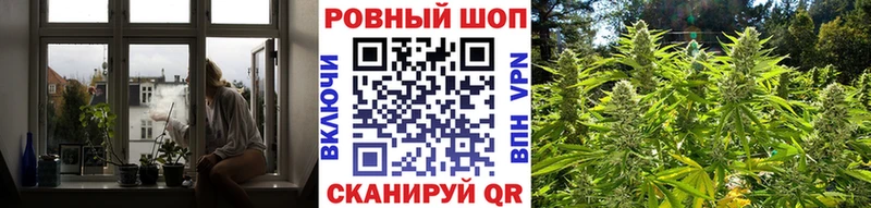 Где найти наркотики Краснознаменск Псилоцибиновые грибы COCAIN Гашиш Альфа ПВП Меф Марихуана Амфетамин