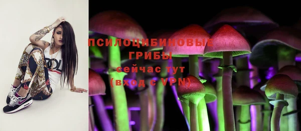 MESCALINE Алзамай