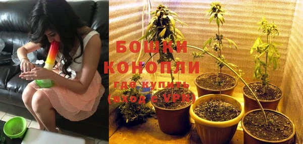 шишки Алексеевка