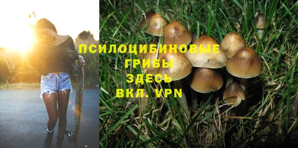 шишки Алексеевка