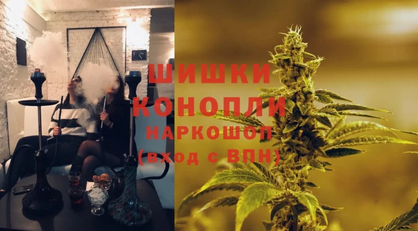 шишки Алексеевка