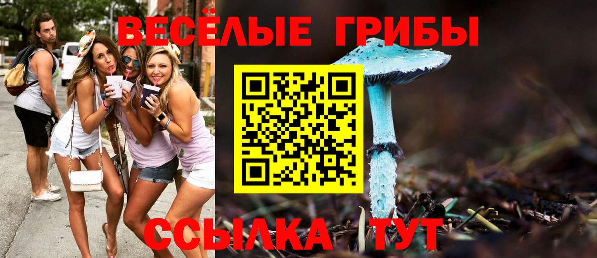 Галлюциногенные грибы Cubensis  Вход с VPN  Краснознаменск 